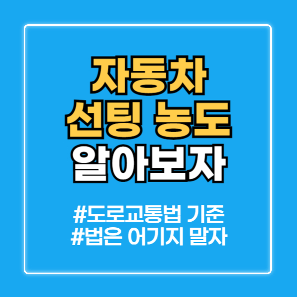 자동차 선팅 농도